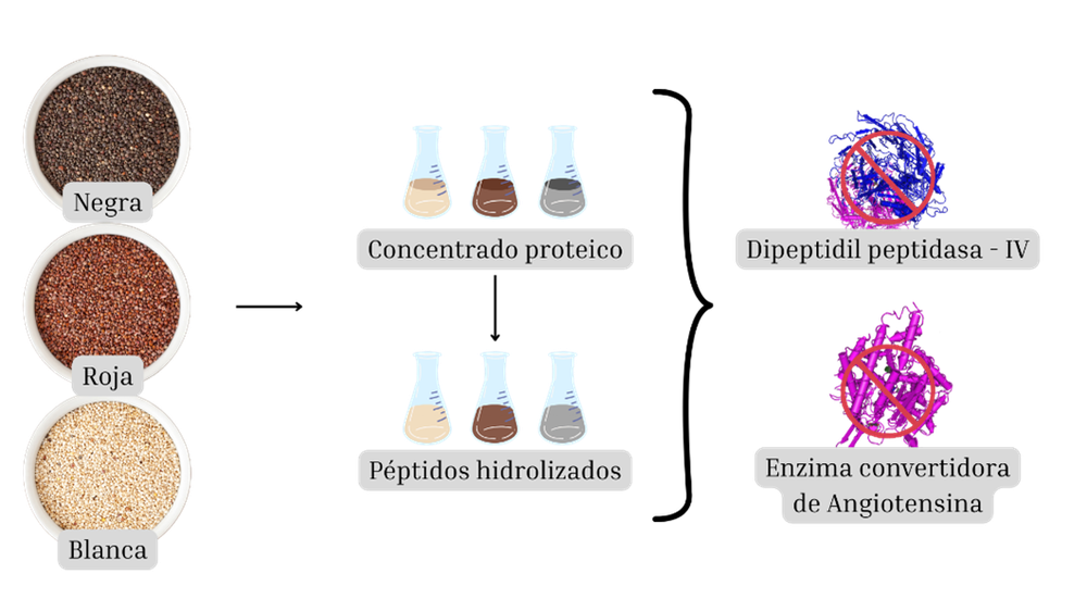 imgConvocatoria